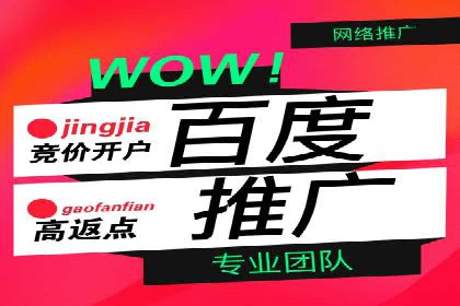 百度竞价公司案例分享：打造高效广告投放方案